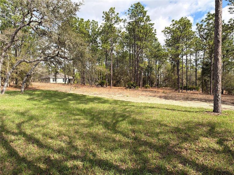 Natural landscape and outdoor views near in Dunnellon (Image 36). Natural landscape and outdoor views near in Dunnellon (Image 36).