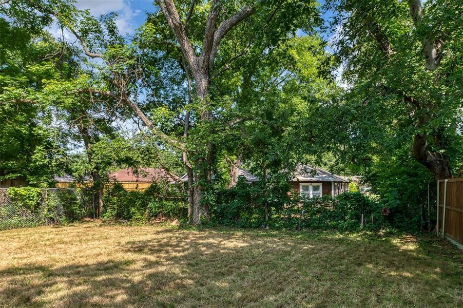 Large Yard