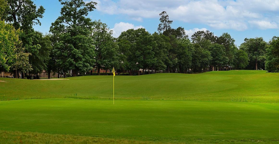 Natural landscape and outdoor views near  in Conroe (Image 29).