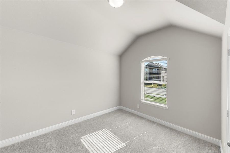 06. 141 Whistling Duck - Bed 3