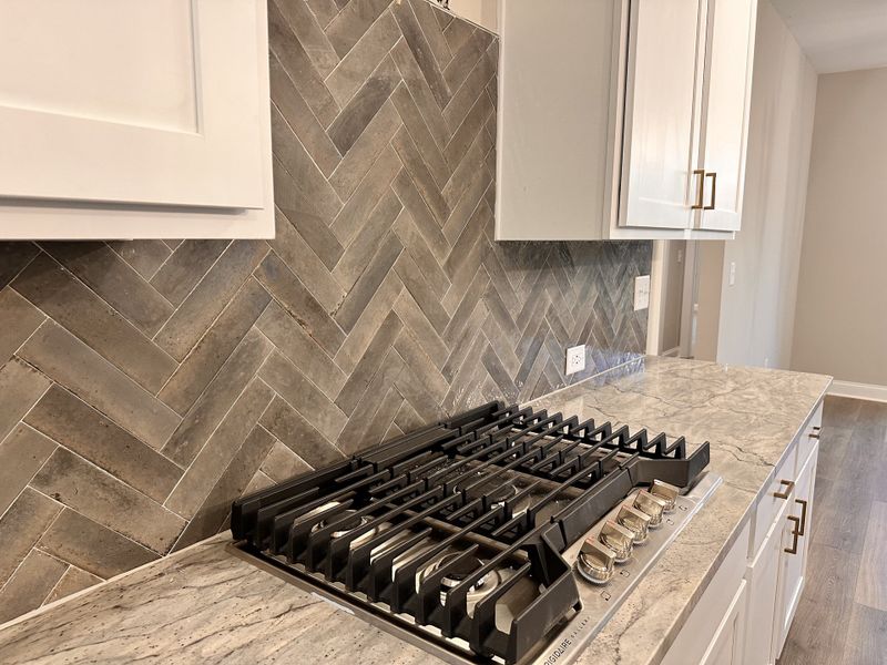 Close-up of interior finishes inside a home in The Reserve at Red Oaks, Carrollton (Image 29).
