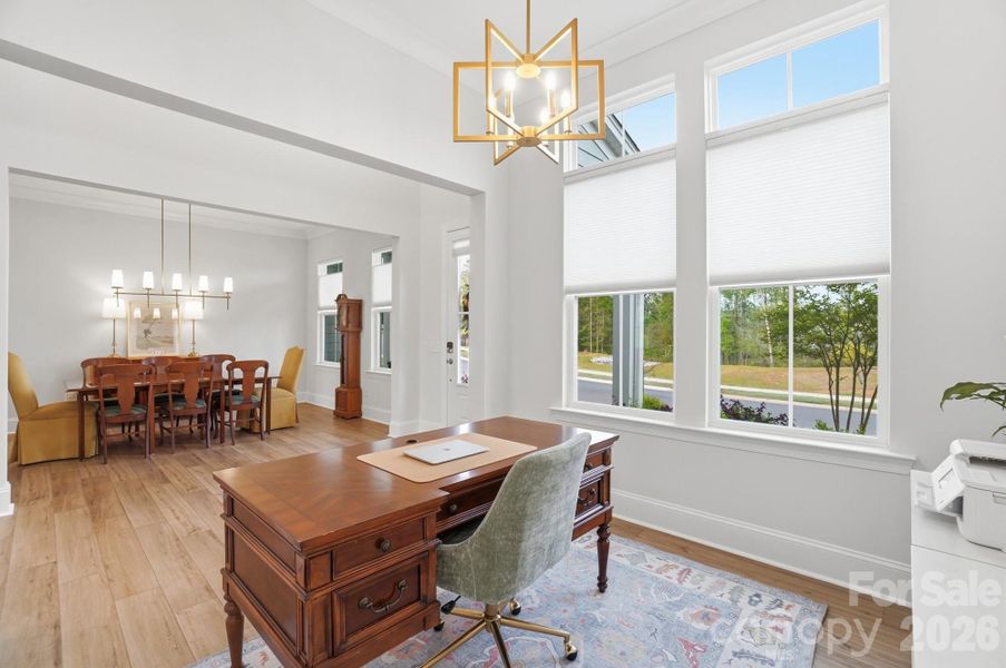 Furnished interior view inside a new home in , Belmont (Image 17).