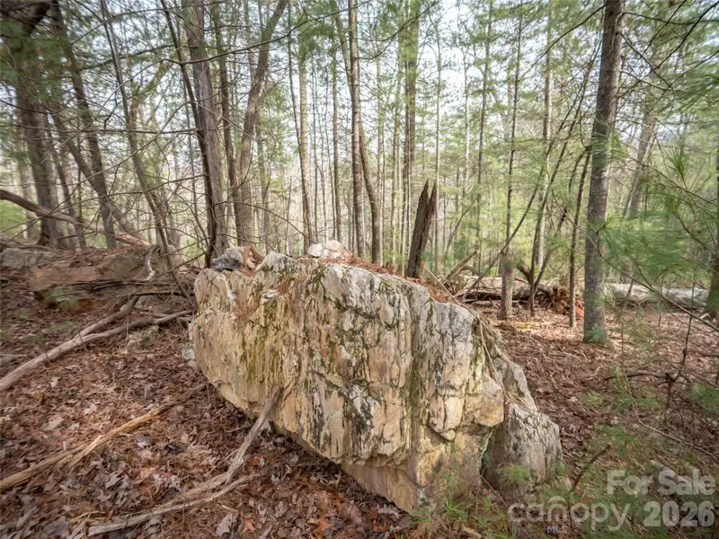 Natural landscape and outdoor views near  in Asheville (Image 6).