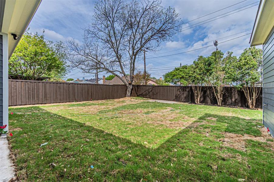 View of fenced backyard