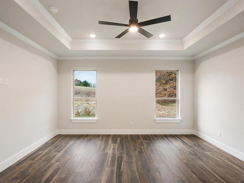 Empty room featuring ornamental molding, dark wood-type flooring, ceiling fan, and plenty of natural light