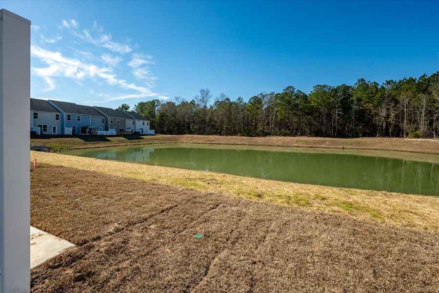 Exterior details and patio area of a home in The Landings at Montague, Goose Creek (Image 3).