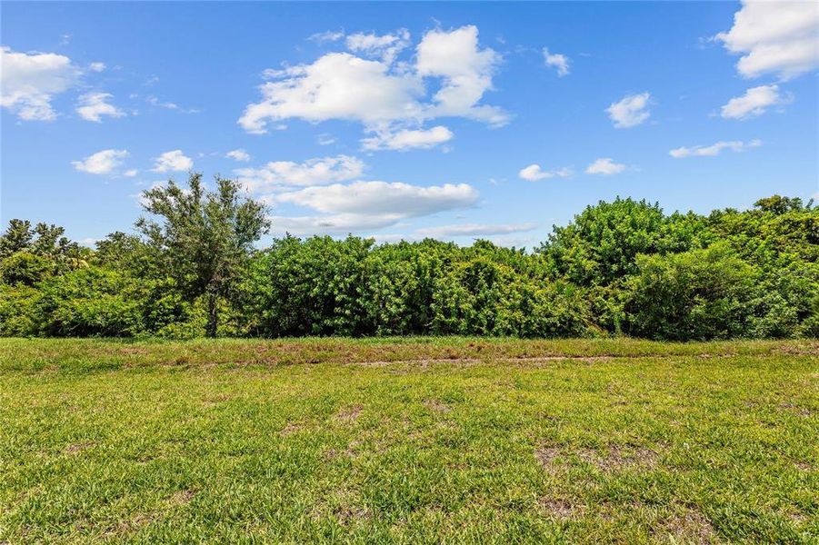 Natural landscape and outdoor views near Calusa Country Club in Lakewood Ranch (Image 32). Natural landscape and outdoor views near Calusa Country Club in Lakewood Ranch (Image 32).