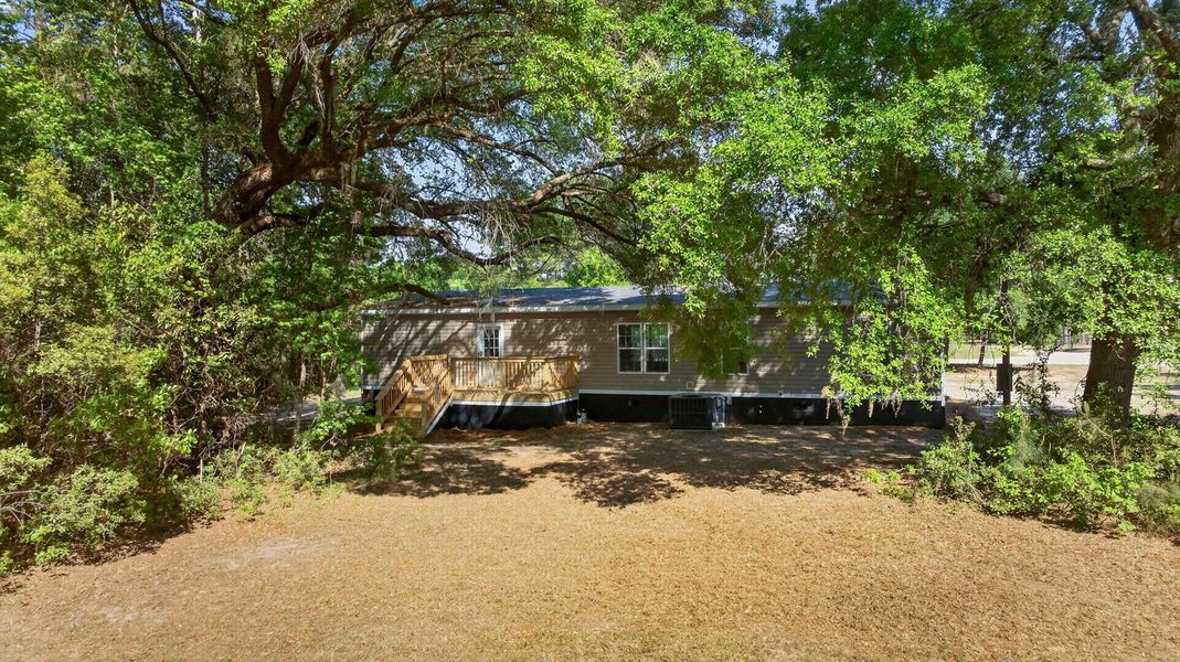 Natural landscape and outdoor views near  in Walterboro (Image 29).
