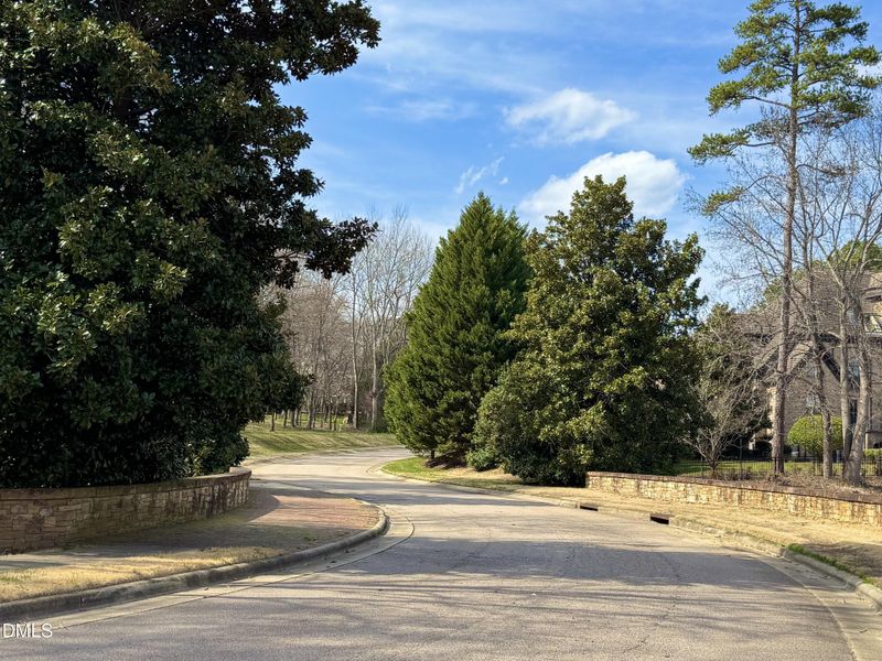 Street Inside Rosemont