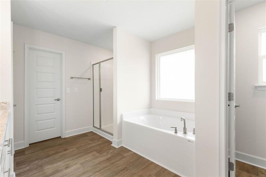 Furnished interior view inside a new home in Palm Coast, Palm Coast (Image 9). Furnished interior view inside a new home in Palm Coast, Palm Coast (Image 9).