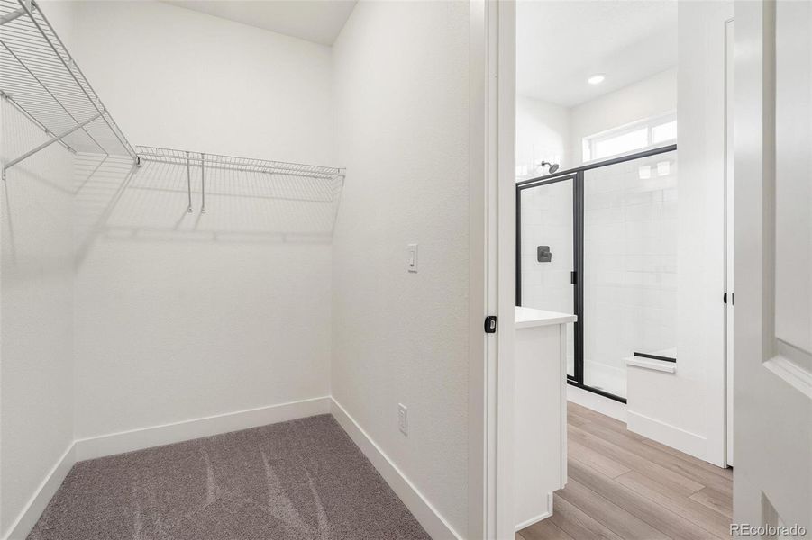 Spacious, unfurnished interior of a new home in Windsong, Brighton (Image 30). Spacious, unfurnished interior of a new home in Windsong, Brighton (Image 30).