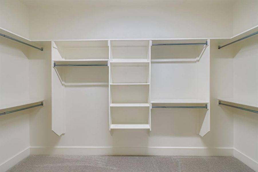 Walk in closet featuring carpet