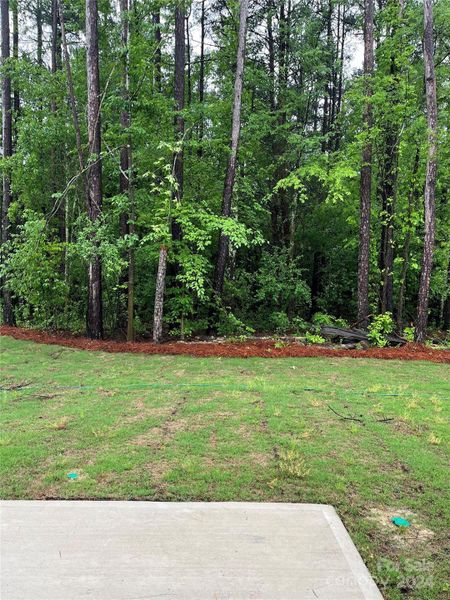 View of the privacy backyard of lot #14