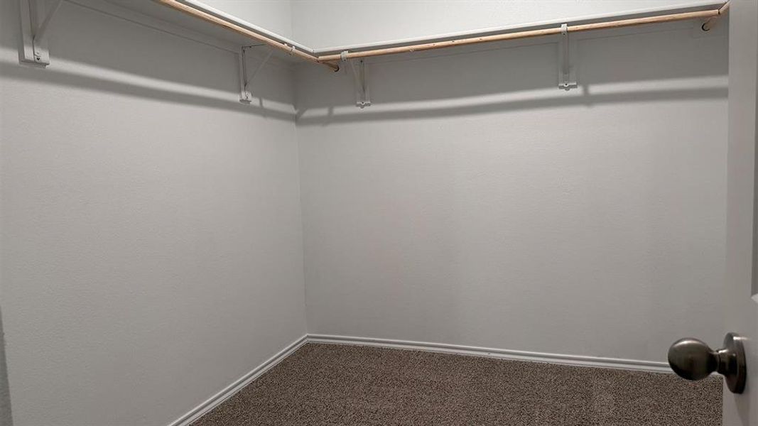 Spacious closet featuring wall-to-wall carpeting and wood hanging rods Spacious closet featuring wall-to-wall carpeting and wood hanging rods