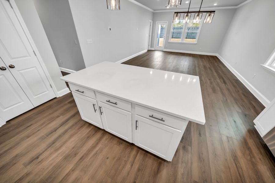Furnished interior view inside a new home in Monroe Preserve, Chapin (Image 17).