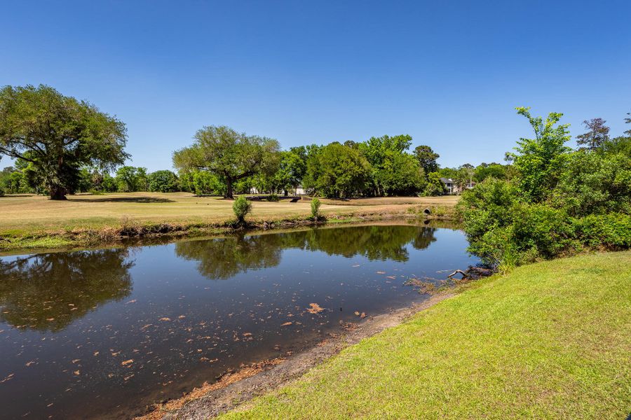 Natural landscape and outdoor views near  in Charleston (Image 69).
