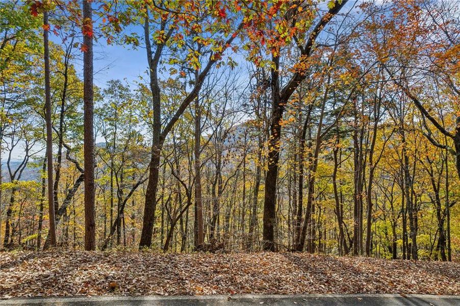 Natural landscape and outdoor views near  in Jasper (Image 5).