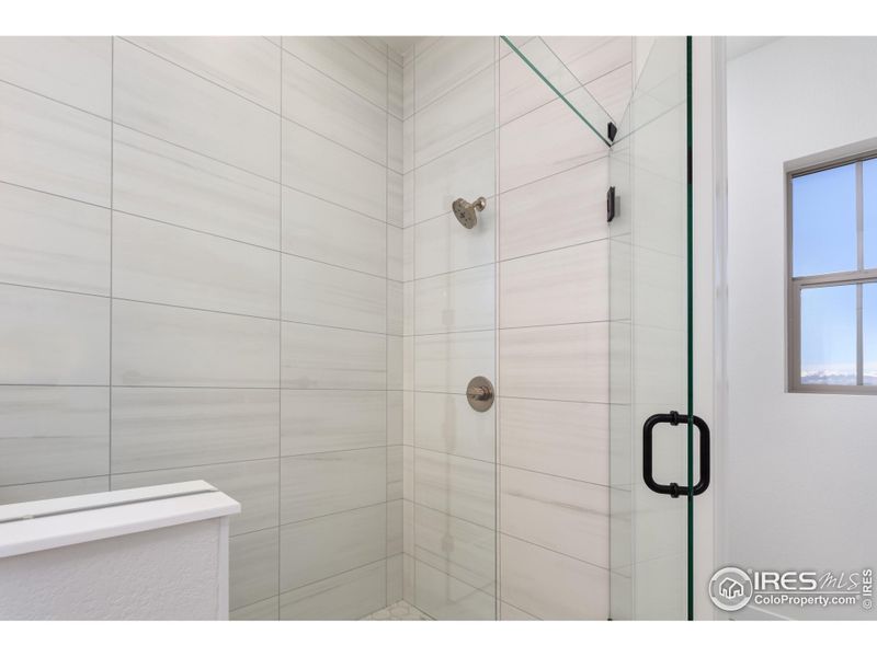 Step in Shower Step in Shower