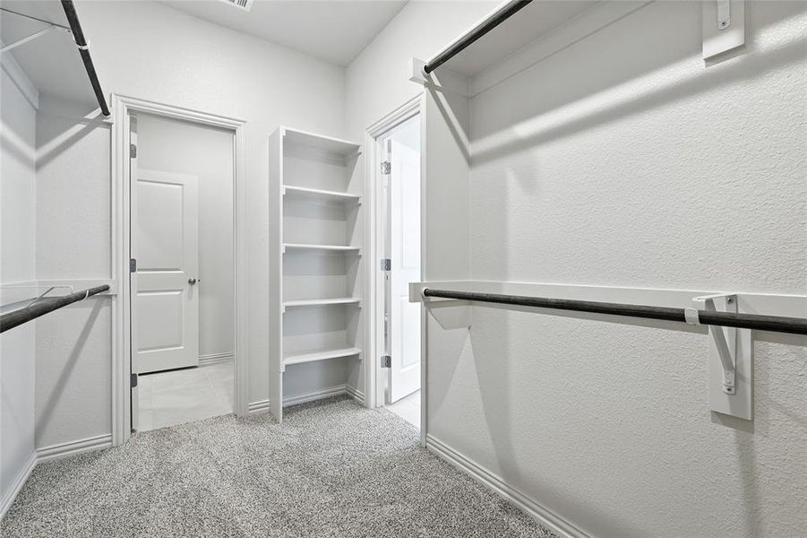 Spacious closet featuring light carpet