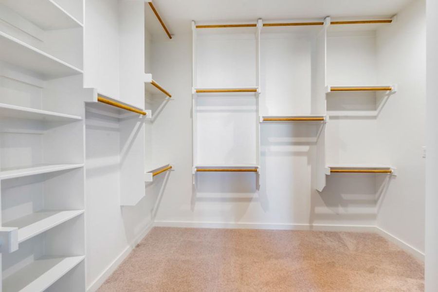 Walk in closet with light colored carpet