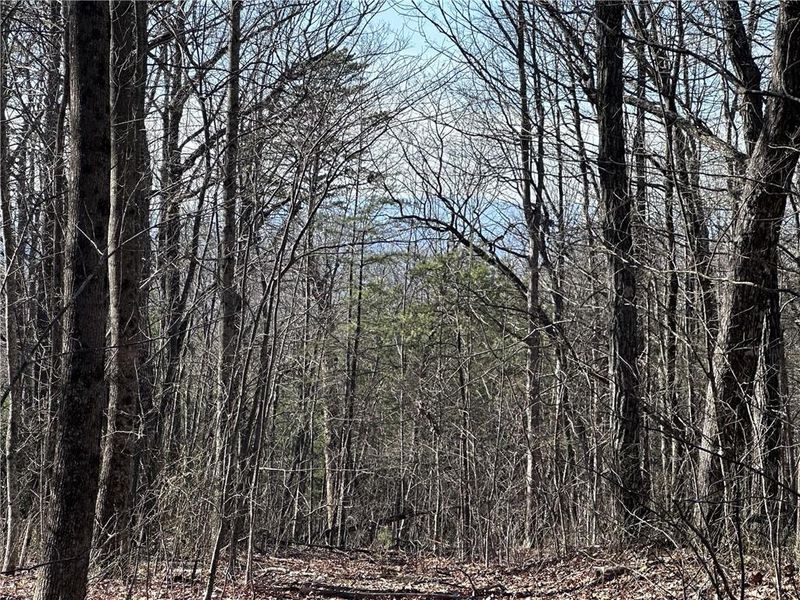 Image 7 of a home in .