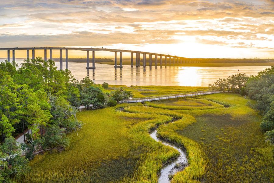 Natural landscape and outdoor views near  in Charleston (Image 10).