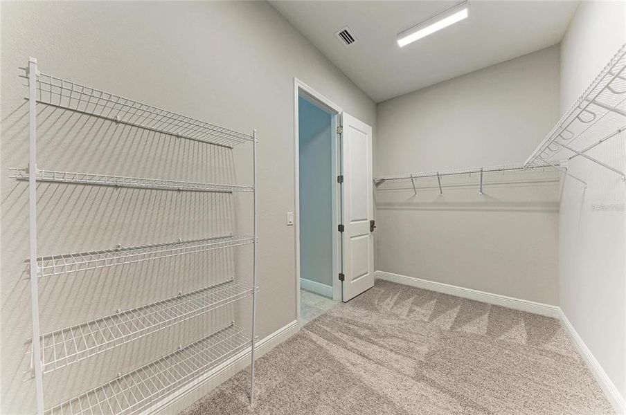 Spacious, unfurnished interior of a new home in Star Farms at Lakewood Ranch, Lakewood Ranch (Image 57). Spacious, unfurnished interior of a new home in Star Farms at Lakewood Ranch, Lakewood Ranch (Image 57).