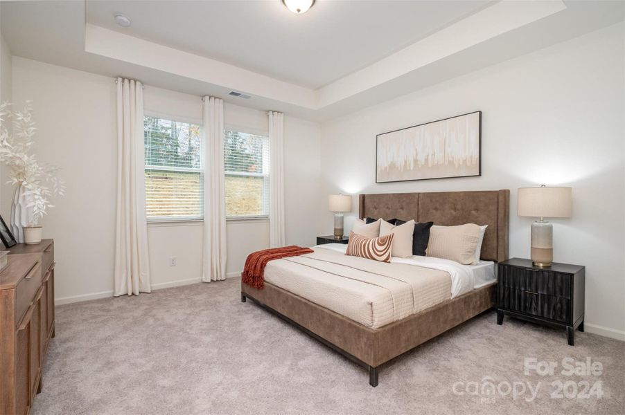 Primary bedroom with tray ceiling