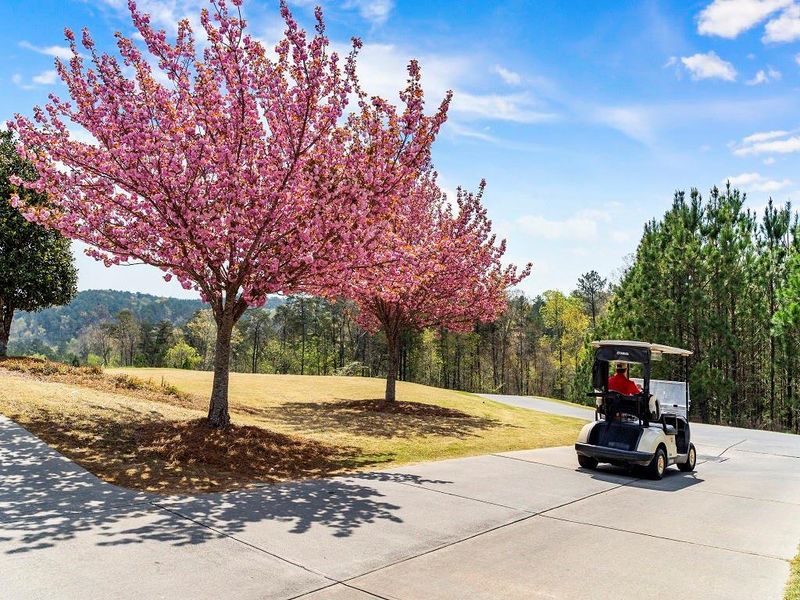 Natural landscape and outdoor views near  in Waleska (Image 21).