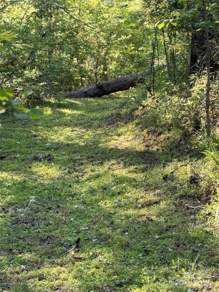 Walking Path Walking Path