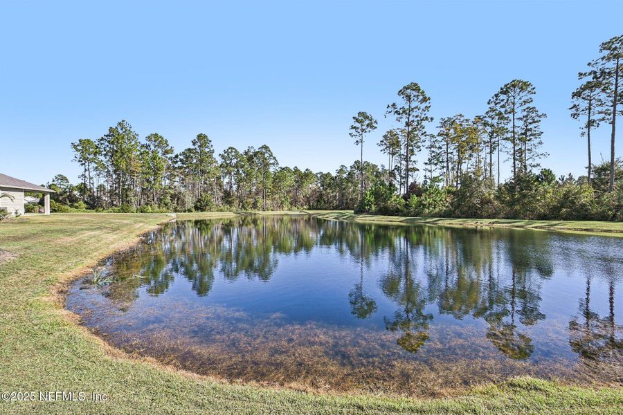 Natural landscape and outdoor views near Village Park in Green Cove Springs (Image 45).