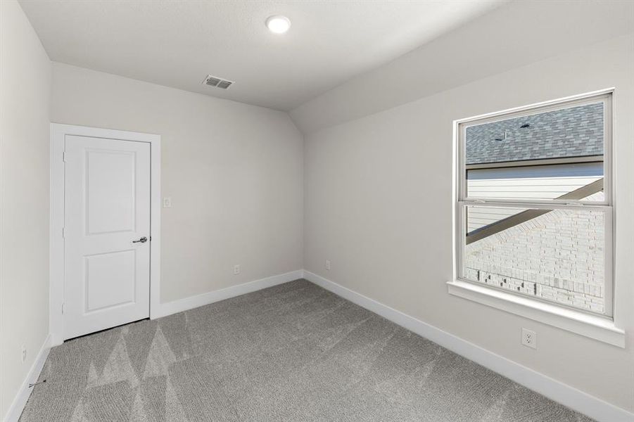 15. 1117 Amaryllis - Bed 3