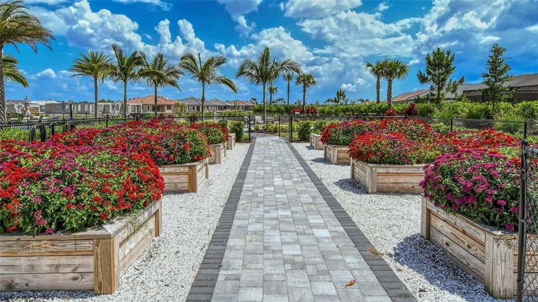 Community amenities in Esplanade at Azario Lakewood Ranch, Bradenton (Image 42).