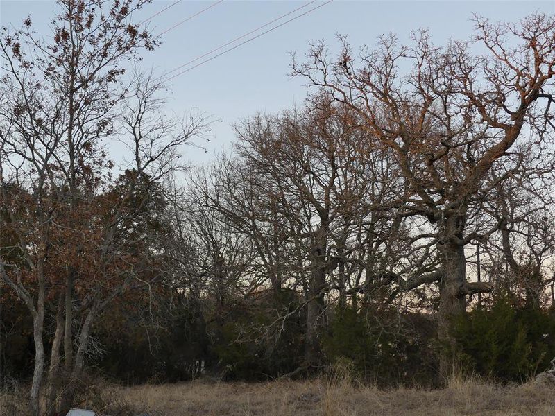 Natural landscape and outdoor views near  in Forestburg (Image 21).