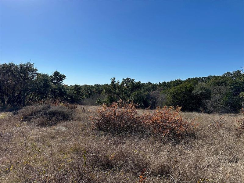 Natural landscape and outdoor views near in Zephyr (Image 22). Natural landscape and outdoor views near in Zephyr (Image 22).