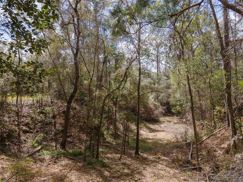 Natural landscape and outdoor views near  in Archer (Image 21).