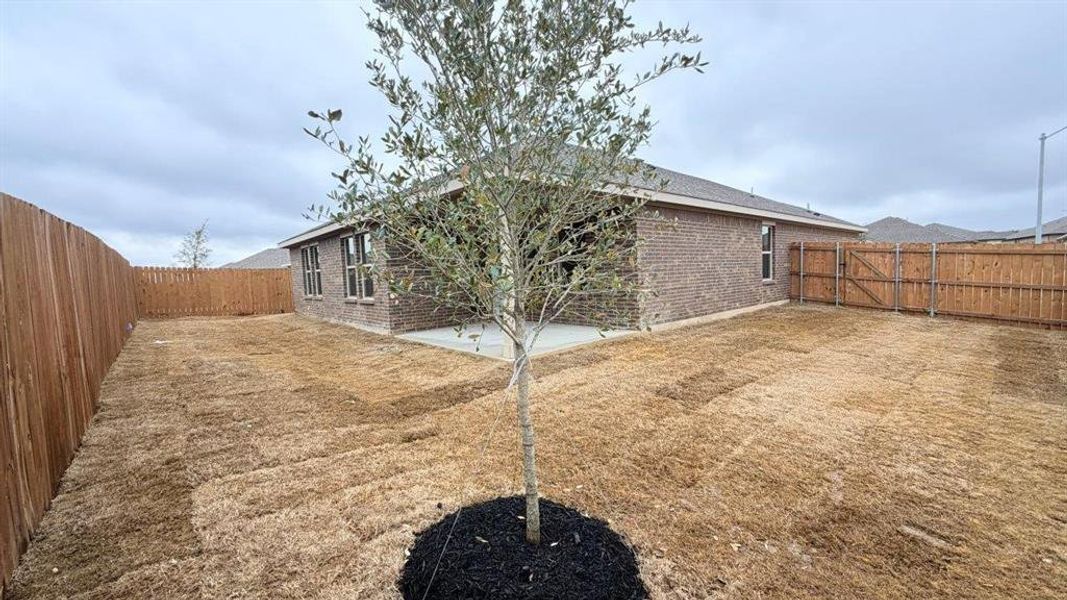 Exterior details and patio area of a home in Meadowbrook Estates, Cleburne (Image 12).