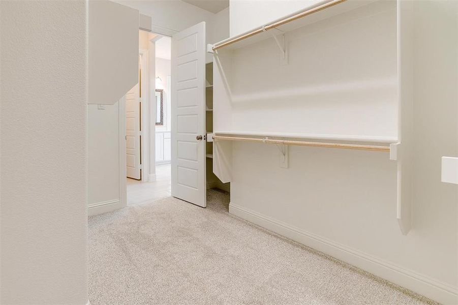 Spacious closet with light carpet