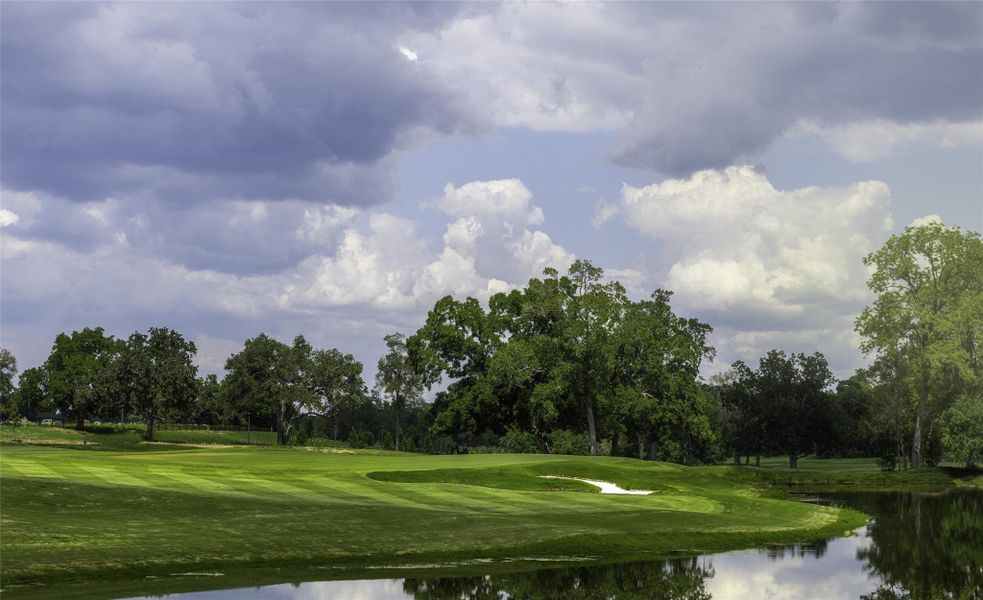 Golf Course Golf Course