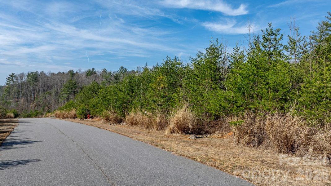 Natural landscape and outdoor views near  in Morganton (Image 12).