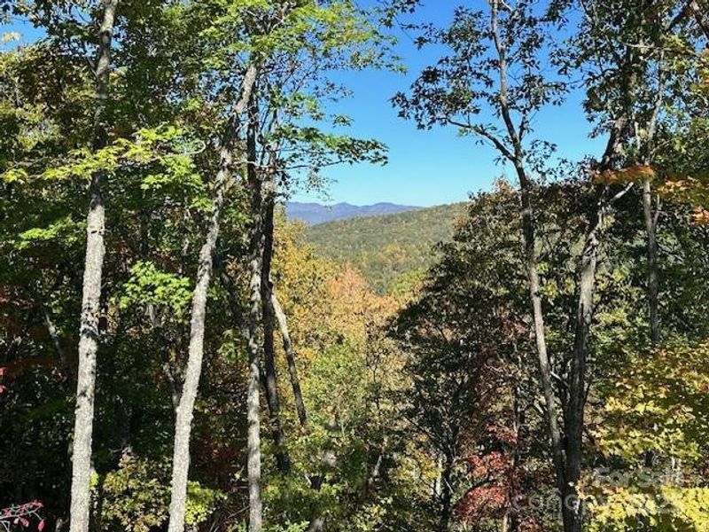 Natural landscape and outdoor views near in Pisgah Forest (Image 26). Natural landscape and outdoor views near in Pisgah Forest (Image 26).