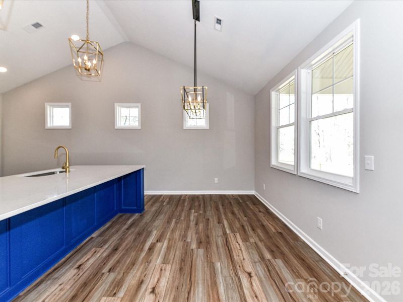 photo representation only