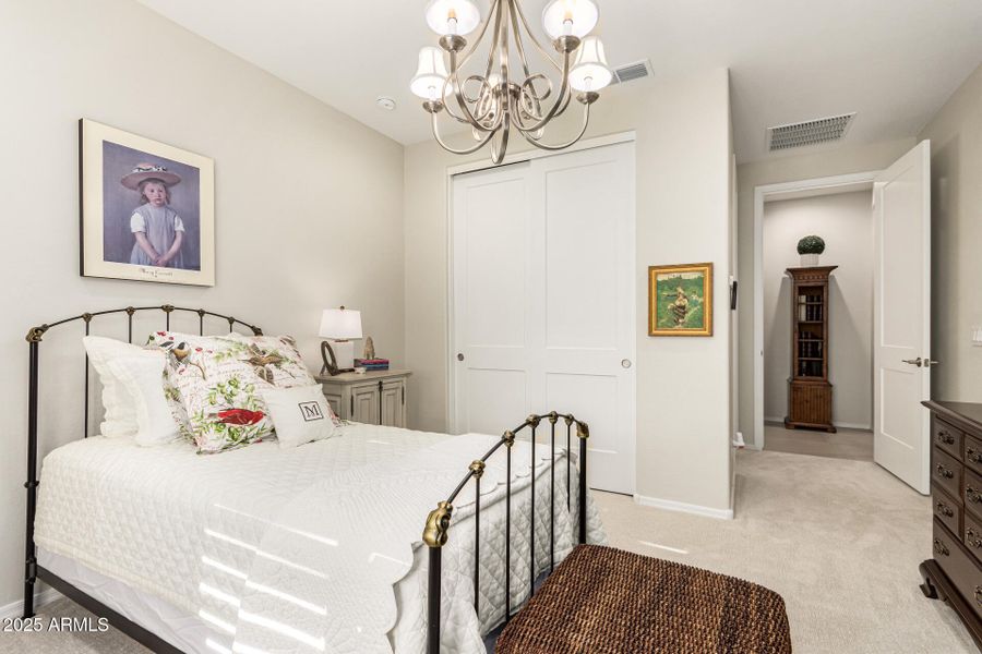 21-Cactus Wren 21-Cactus Wren