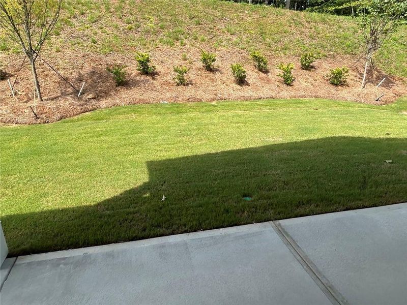 Natural landscape and outdoor views near  in Gainesville (Image 20).