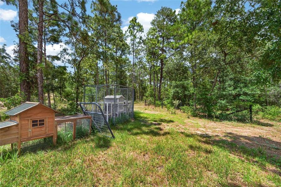 Natural landscape and outdoor views near  in Brooksville (Image 35).