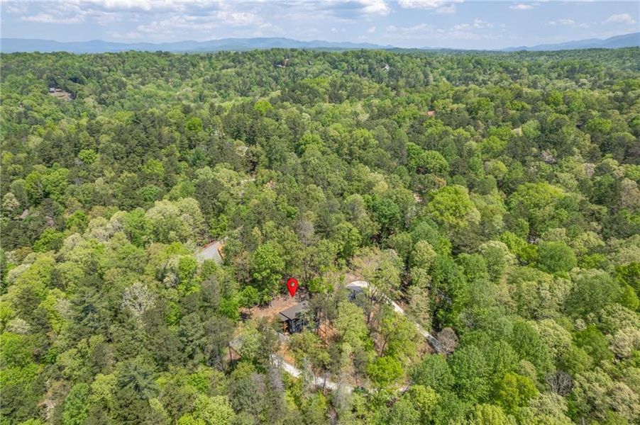 Natural landscape and outdoor views near  in Ellijay (Image 27).