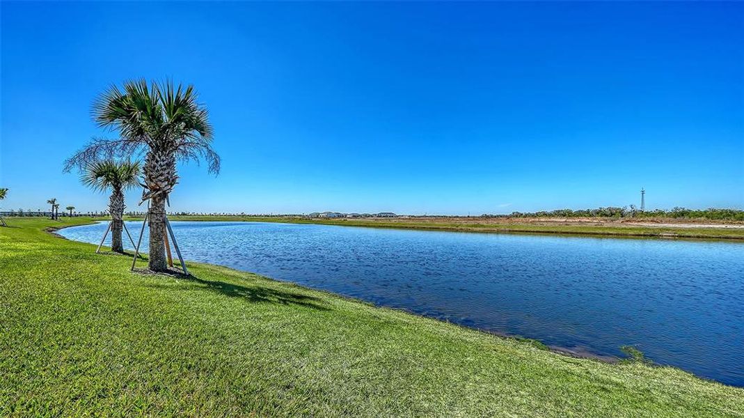 Natural landscape and outdoor views near Palm Grove in Lakewood Ranch (Image 48).
