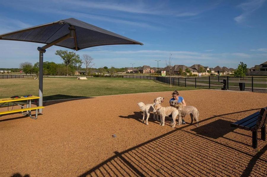 Old Joe Dog Park at Trinity Falls
