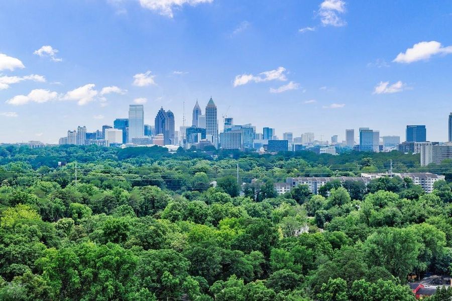 Natural landscape and outdoor views near The Dillon Buckhead in Atlanta (Image 46).