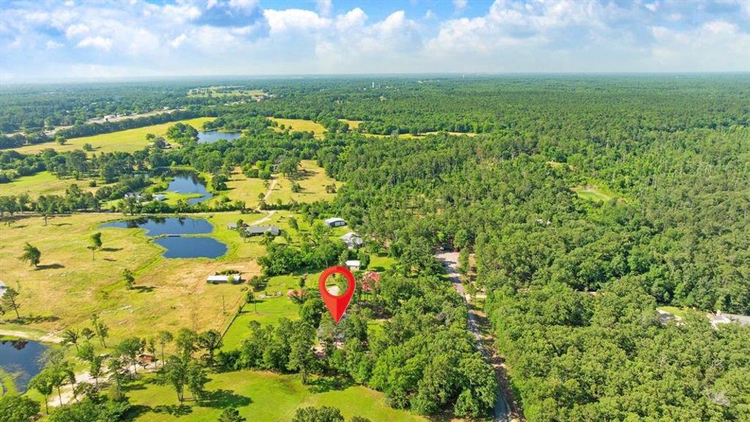 Natural landscape and outdoor views near  in Powderly (Image 20).